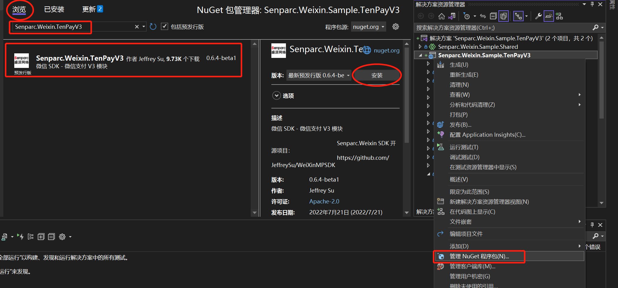 通过 Visual Studio 安装