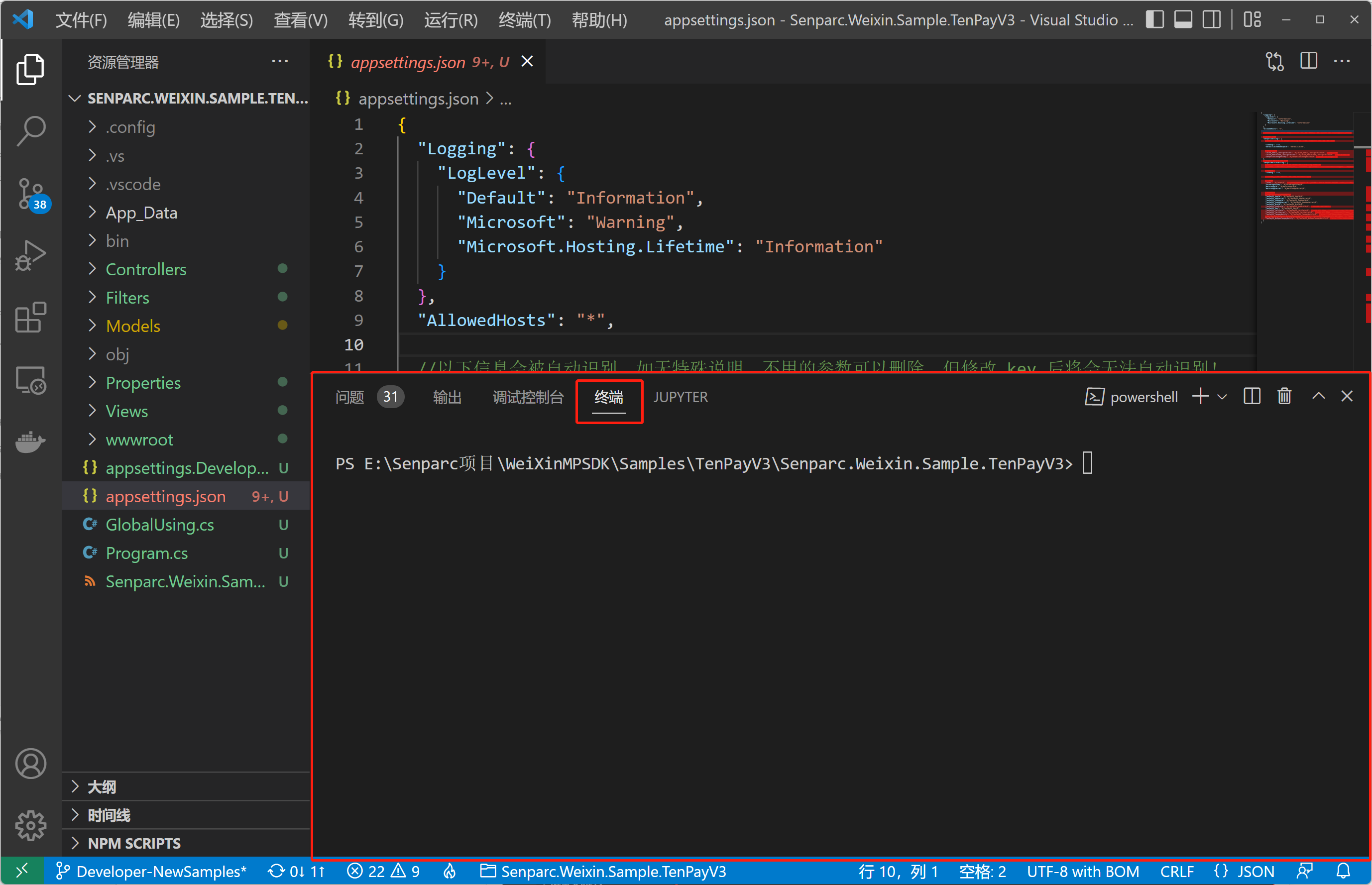 通过 VS Code 安装